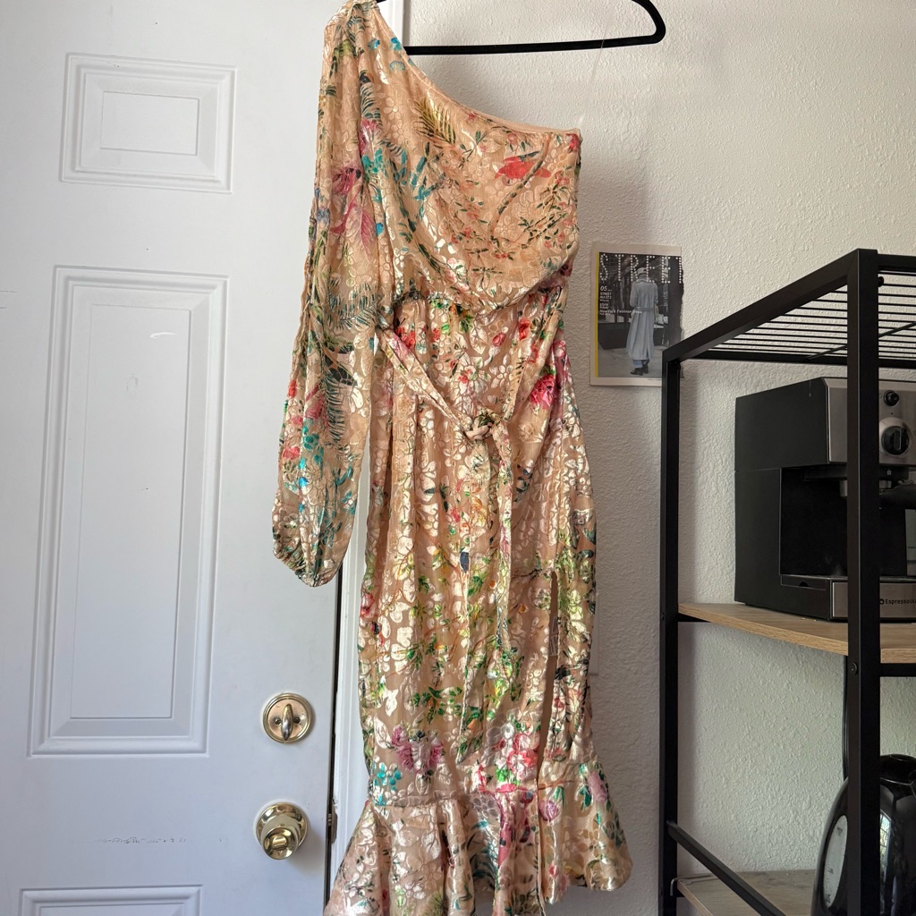Nwt Hemant & Nandita Nude Peach Veena Floral Velvet Burnout One Shoulder Midi
